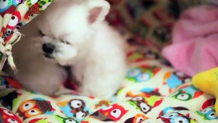 화천출장안마 -후불100%ョØ1ØA7685A6221｛카톡PP888｝ 화천전지역출장안마 화천오피걸 화천출장마사지 화천안마 화천출장마사지 화천콜걸샵ёжз