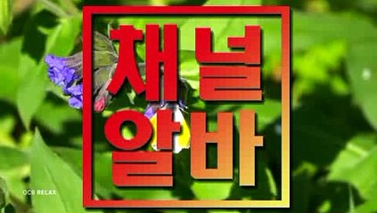 안양텐프로아르바이트 신천가라오케아르바이트 【 채널알바닷컴 】 수원텐프로알바 종로룸보도알바 마포룸카페아르바이트