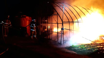 강릉 비닐하우스 화재...1동 소실 / YTN