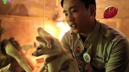 영덕출장아로마≑영덕출장안마 -후불100%ョØ1ØS2671S8135｛카톡ZHF526｝ 영덕전지역출장안마 영덕오피걸 영덕출장마사지 영덕안마 영덕출장마사지 영덕콜걸샵♪∀