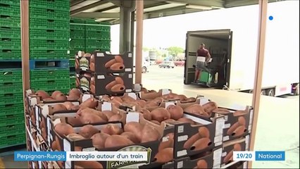 Perpignan-Rungis : le gouvernement tient à l'acheminement par train