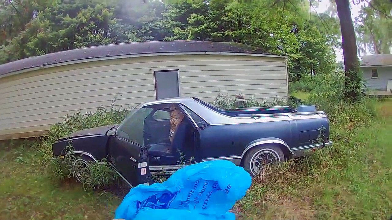 Il d couvre un norme nid de gu pe dans sa voiture Vid o Il d couvre un norme nid de gu pe dans sa voiture Vid o