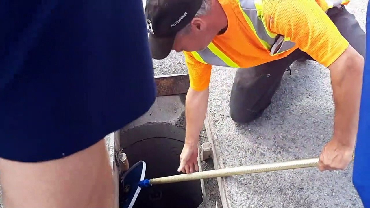 Un sauvetage de canards à Saint-Antonin