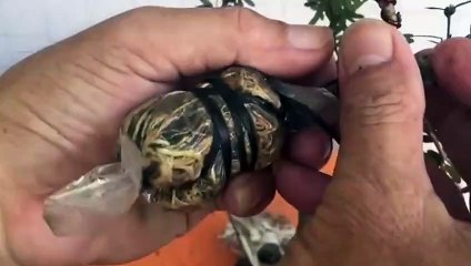 상주출장안마 -후불100%ョØ1ØA8109A5900｛카톡OYO78｝ 상주전지역출장안마 상주오피걸 상주출장마사지 상주안마 상주출장마사지 상주콜걸샵ぱひふ