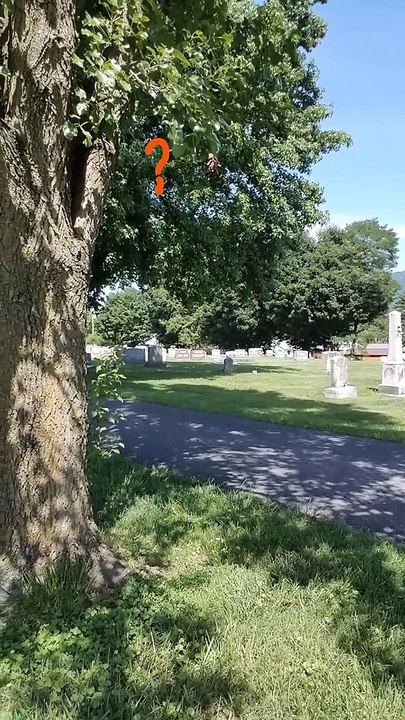An Old  Ghost I Cant Believe What He Says!! Cemetery Spirits Mt Olivet Lunar Paranormal Virginia