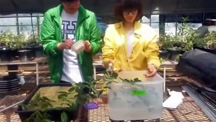 상무출장아로마≑상무출장안마 -후불100%ョØ7ØS7301S9649｛카톡ZF66｝ 상무전지역출장안마 상무오피걸 상무출장마사지 상무안마 상무출장마사지 상무콜걸샵ゐゑを