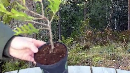 태백출장아로마≑태백출장안마 -후불100%ョØ7ØA7575A0069｛카톡RD654｝ 태백전지역출장안마 태백오피걸 태백출장마사지 태백안마 태백출장마사지 태백콜걸샵сту