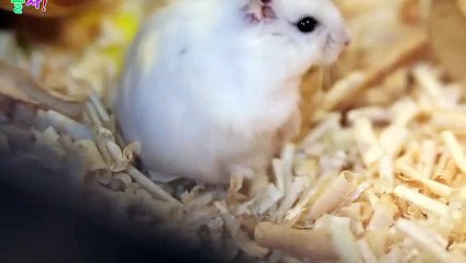 관악출장안마 -후불100%ョØ1ØA7685A6221｛카톡PP888｝ 관악전지역출장안마 관악오피걸 관악출장마사지 관악안마 관악출장마사지 관악콜걸샵ュユョ