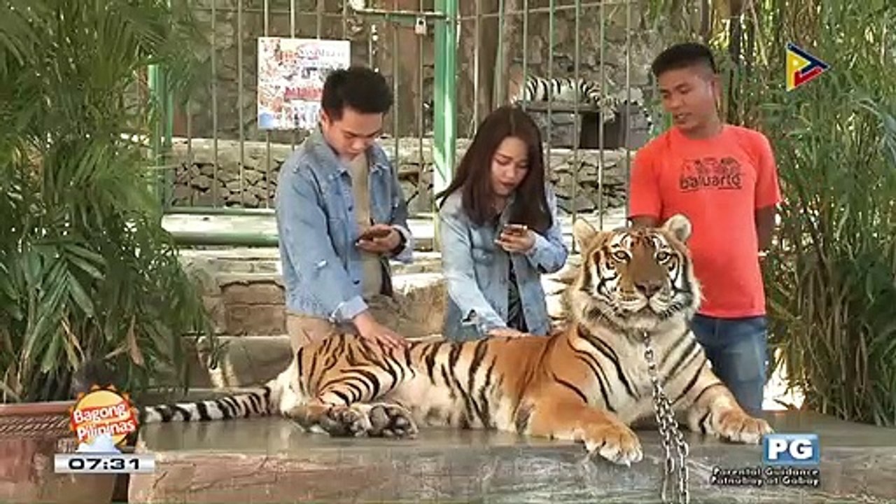 TRIP TICKET: Baluarte Zoo