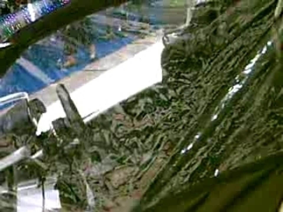 CLIP0001