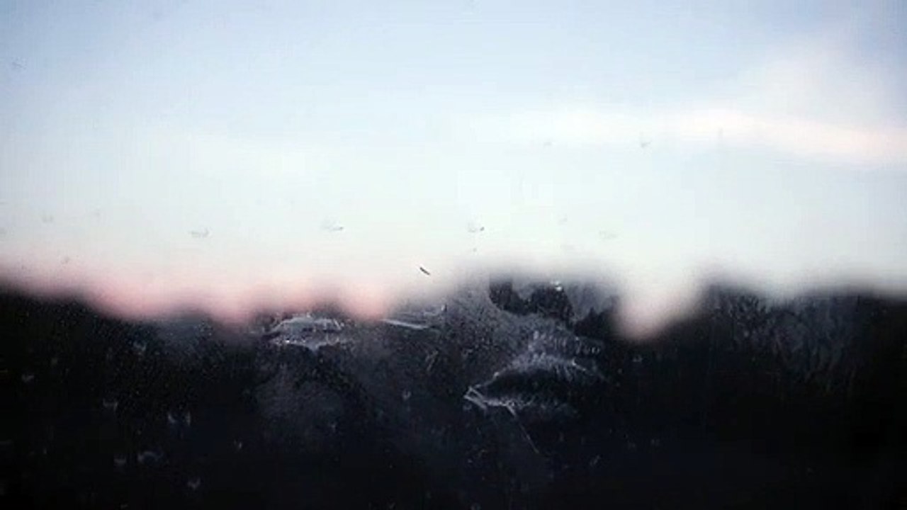 No Data Plan - Trailer | IFFR 2019