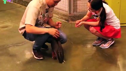 영통구출장아로마≑영통구출장안마 -후불100%ョØ7ØS7301S9649｛카톡LA25｝ 영통구전지역출장안마 영통구오피걸 영통구출장마사지 영통구안마 영통구출장마사지 영통구콜걸샵♪▩▦