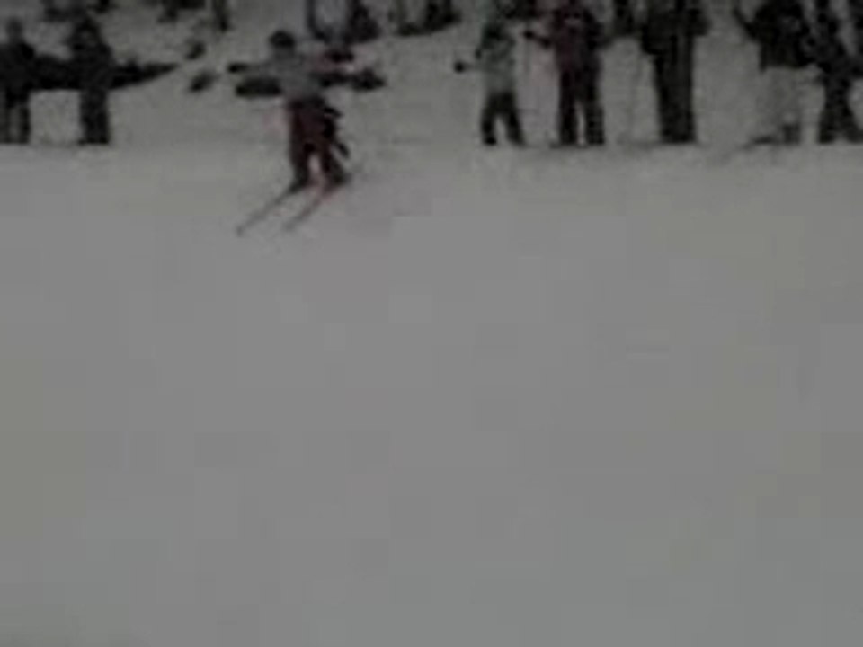 MOuton mange la neige