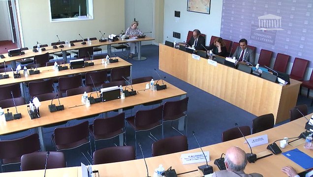 Impact des énergies renouvelables : Auditions diverses - Mercredi 17 juillet 2019