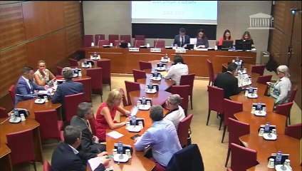 Commission des affaires culturelles : Bilan de l’activité 2018-2019 ; Écoles supérieures d’art territoriales - Mercredi 17 juillet 2019