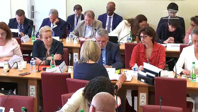 Commission des affaires étrangères : Coopération et intégration franco-allemandes - Mercredi 17 juillet 2019
