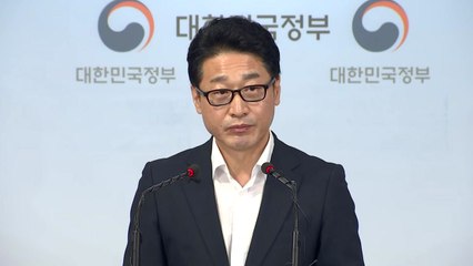 정부, 일본 수출 규제 관련 브리핑 / YTN