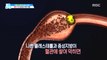 [LIVING] Why do we have to eat OIL?,기분 좋은 날20190719