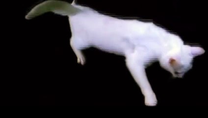 공주출장안마 -후불100%ョØ1ØE2659E1768｛카톡SN92｝ 공주전지역출장안마 공주오피걸 공주출장마사지 공주안마 공주출장마사지 공주콜걸샵⊙◈