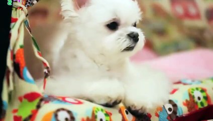 계양출장안마 -후불100%ョØ7ØS7301S9649｛카톡CS69｝ 계양전지역출장안마 계양오피걸 계양출장마사지 계양안마 계양출장마사지 계양콜걸샵⊙◈
