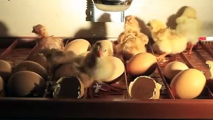 동래구출장아로마≑동래구출장안마 -후불100%ョØ1ØS2671S8135｛카톡ZHF526｝ 동래구전지역출장안마 동래구오피걸 동래구출장마사지 동래구안마 동래구출장마사지 동래구콜걸샵ЕЁЖ