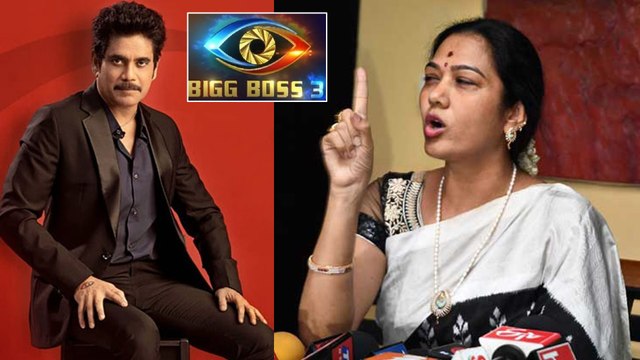 Bigg Boss Telugu 3 : Hema Comments On Gayatri Gupta-Swetha Reddy Controversy || Filmibeat Telugu