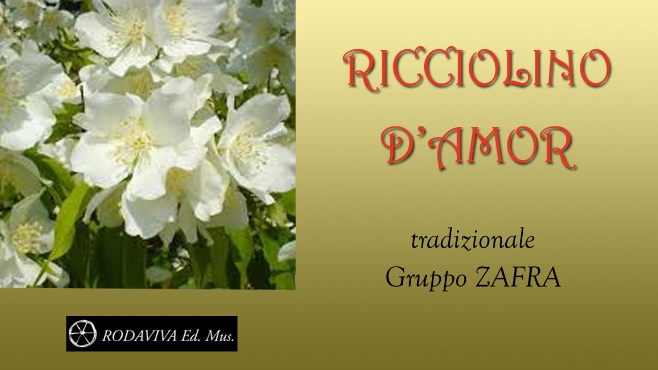 Gruppo Zafra - RICCIOLINO D'AMOR - Video Dailymotion