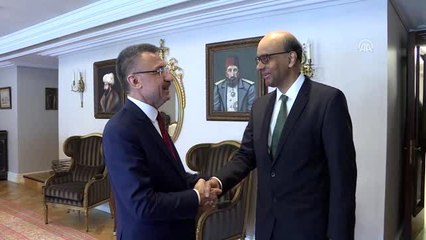 Cumhurbaşkanı Yardımcısı Oktay'ın kabulü