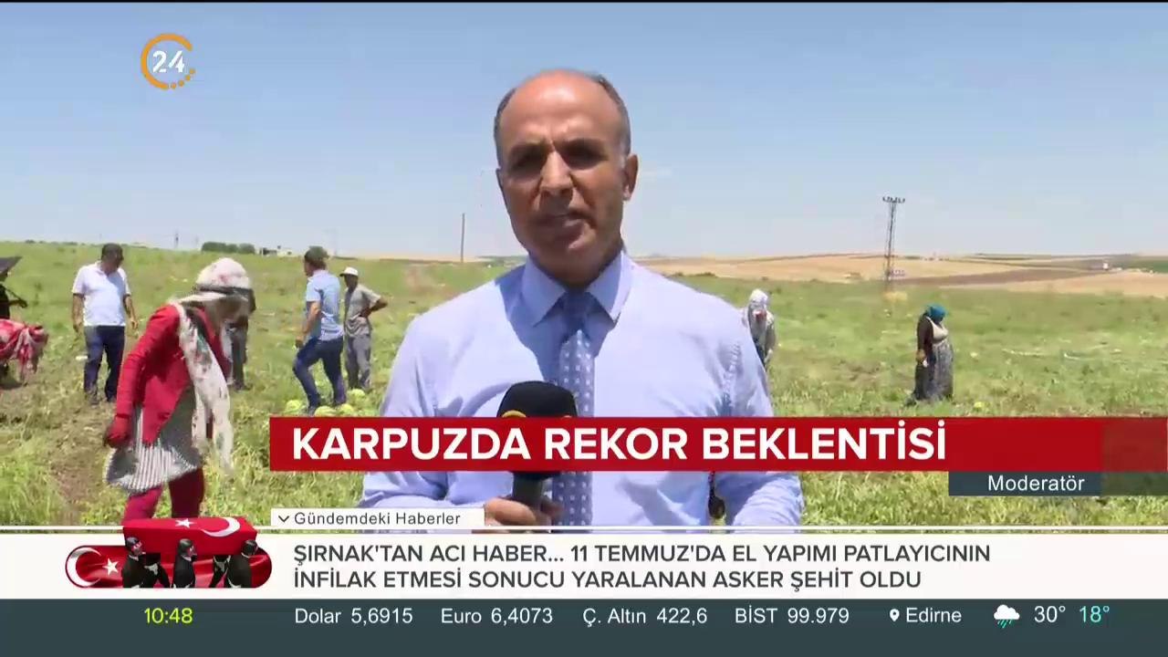 Karpuzda rekor beklentisi