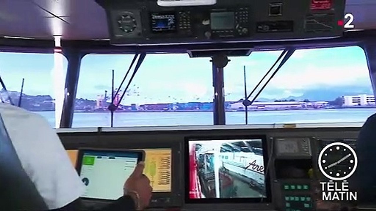 Polynésie française : des baleines sous surveillance pour leur bien-être