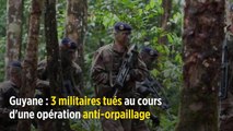 Guyane : 3 militaires tués au cours d'une opération anti-orpaillage