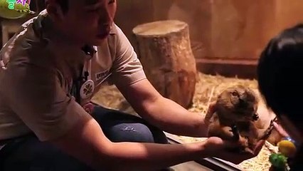 덕양구출장안마 -후불100%ョØ1ØS2671S8135｛카톡AQ52｝ 덕양구전지역출장안마 덕양구오피걸 덕양구출장마사지 덕양구안마 덕양구출장마사지 덕양구콜걸샵→☞≪