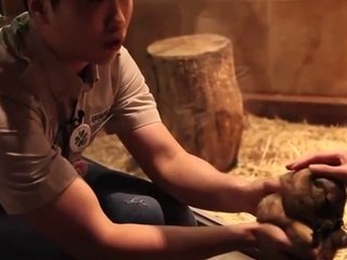 의왕출장안마 -후불100%ョØ1ØE6706E9275｛카톡ZU69｝ 의왕전지역출장안마 의왕오피걸 의왕출장마사지 의왕안마 의왕출장마사지 의왕콜걸샵ヨラリ