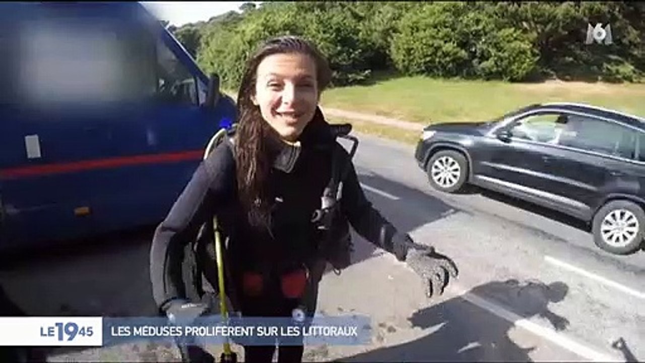 Les scientifiques mettent en garde contre la pollution et la surpêche qui accélèrent la prolifération des méduses dans les océans