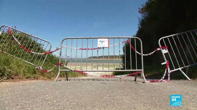 Prolifération d'algues vertes sur les plages bretonnes : méfiance !
