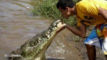 La foto del giorno: un bacio al coccodrillo