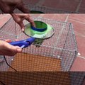 Relax Mouse/Rat Trap/How to make A Mouse Trap Homemade easy Saving A lot of Mice