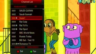 Hot Bird 13 east Latest Channels List and Review