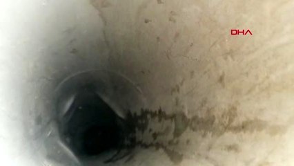 İZMİR YAVRU KÖPEK 5 METRE DERİNLİKTEN KURTARILDI