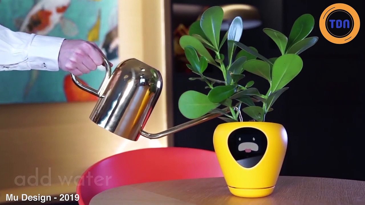 Voici "Lua", un smart-pot qui  vous indique l'humeur et les  besoins de votre plante !