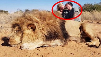 Darren Carter | சிங்கங்களை கொன்று முத்தம் கொடுத்த ஜோடி: நெட்டிசன்ஸ் விமர்சனம்- வீடியோ