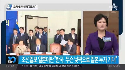 조국-양정철의 ‘항일전’