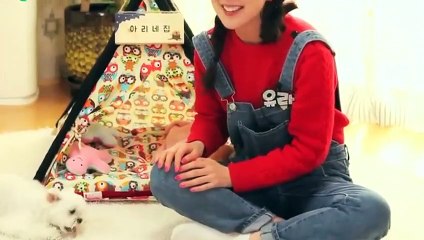 강릉출장안마 -후불100%ョØ1ØS2671S8135｛카톡ZHF526｝ 강릉전지역출장안마 강릉오피걸 강릉출장마사지 강릉안마 강릉출장마사지 강릉콜걸샵лмн