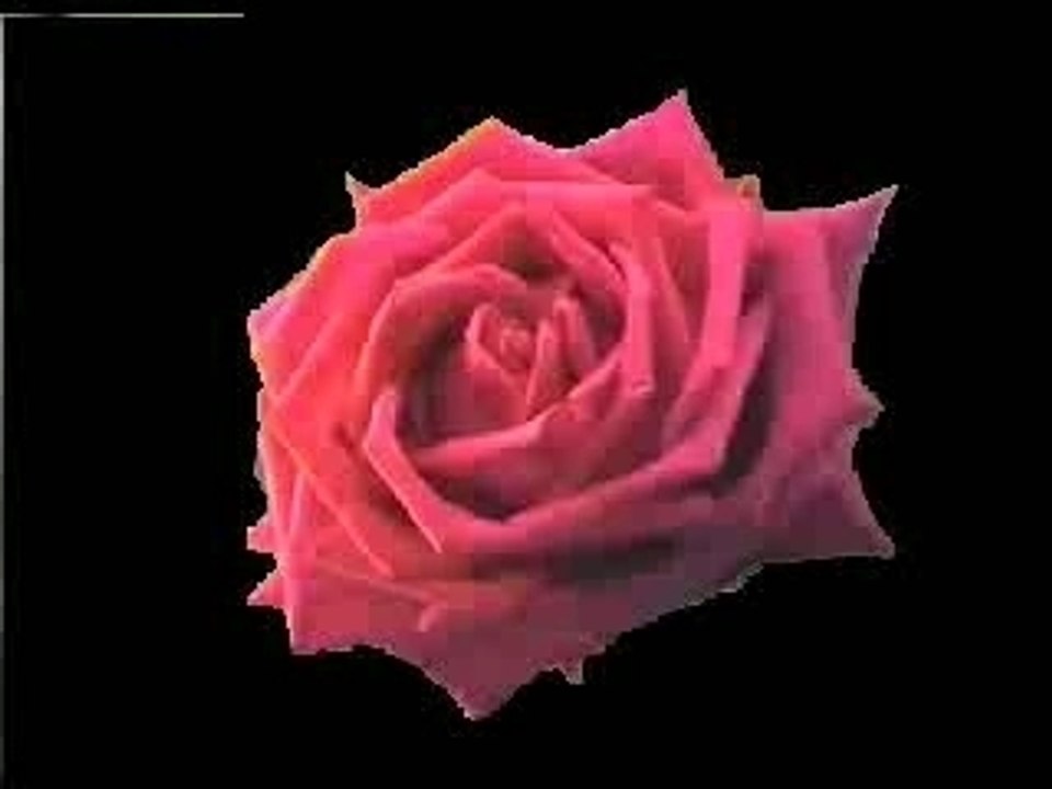 contre l Amour