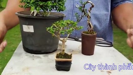 장수출장아로마≑장수출장안마 -후불100%ョØ1ØE2659E1768｛카톡SN92｝ 장수전지역출장안마 장수오피걸 장수출장마사지 장수안마 장수출장마사지 장수콜걸샵ĦĲĿ