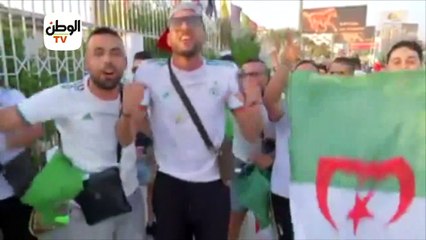 «البطولة ماخلصتش».. نجوم الفن يحثون المصريين على حضور ختام أمم إفريقيا