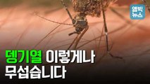 [엠빅뉴스] 동남아에서 모기 물리면 '뎅기열' 의심부터..휴가철 해외여행 '이것만은 알고 가자'!!!
