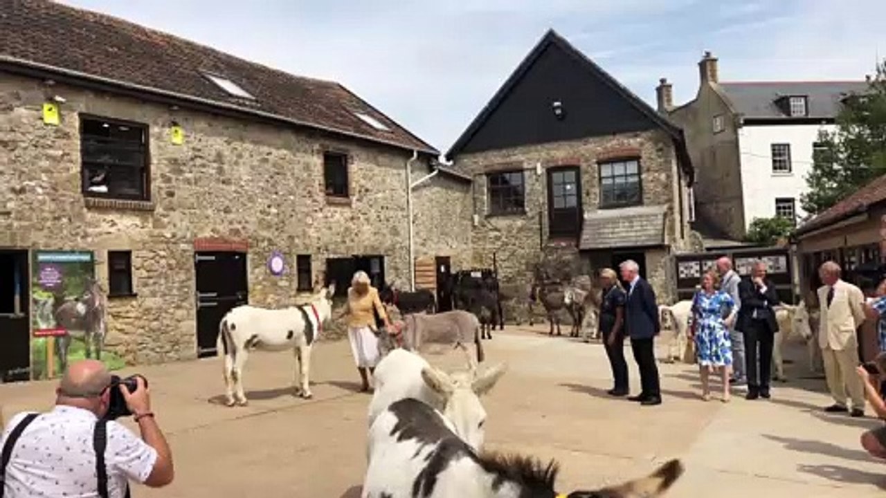 Rodeada de burros: la imagen más curiosa del cumpleaños de Camilla Parker