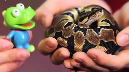 합천출장안마 -후불100%ョØ7ØS7301S9649｛카톡MOK66} 합천전지역출장안마 합천오피걸 합천출장마사지 합천안마 합천출장마사지 합천콜걸샵ゼソゾ