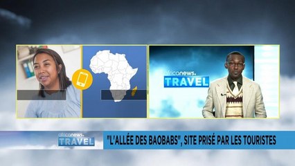 Madagascar : "l'Allée des Baobabs", un site prisé par les touristes